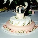 southern-perks-wedding-cake-lynchburg-tn