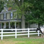 greenrose-of-raus-bnb-horses-lynchburg-tn